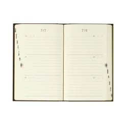 3 Years Diary