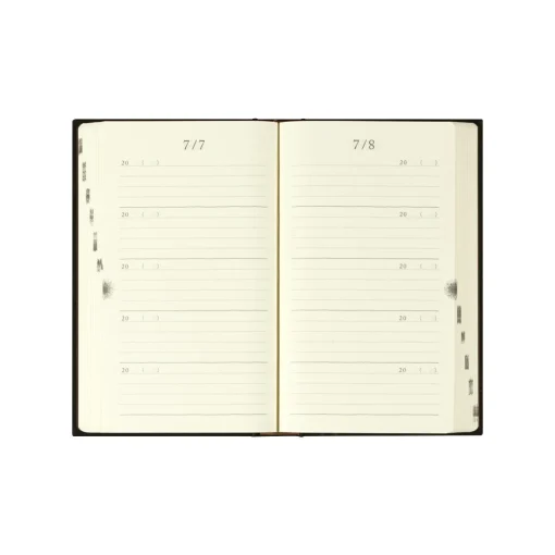 5 Years Diary