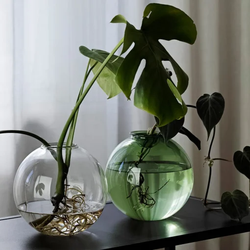 Aqua Planter 18cm