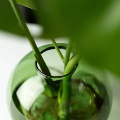 Aqua Planter 18cm