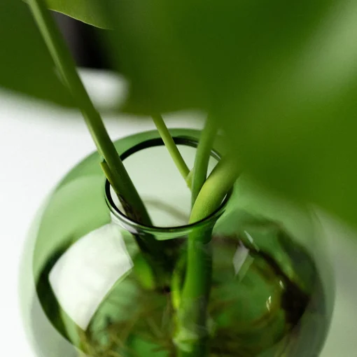 Aqua Planter 18cm