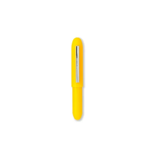 Bullet Ballpoint Pen Light