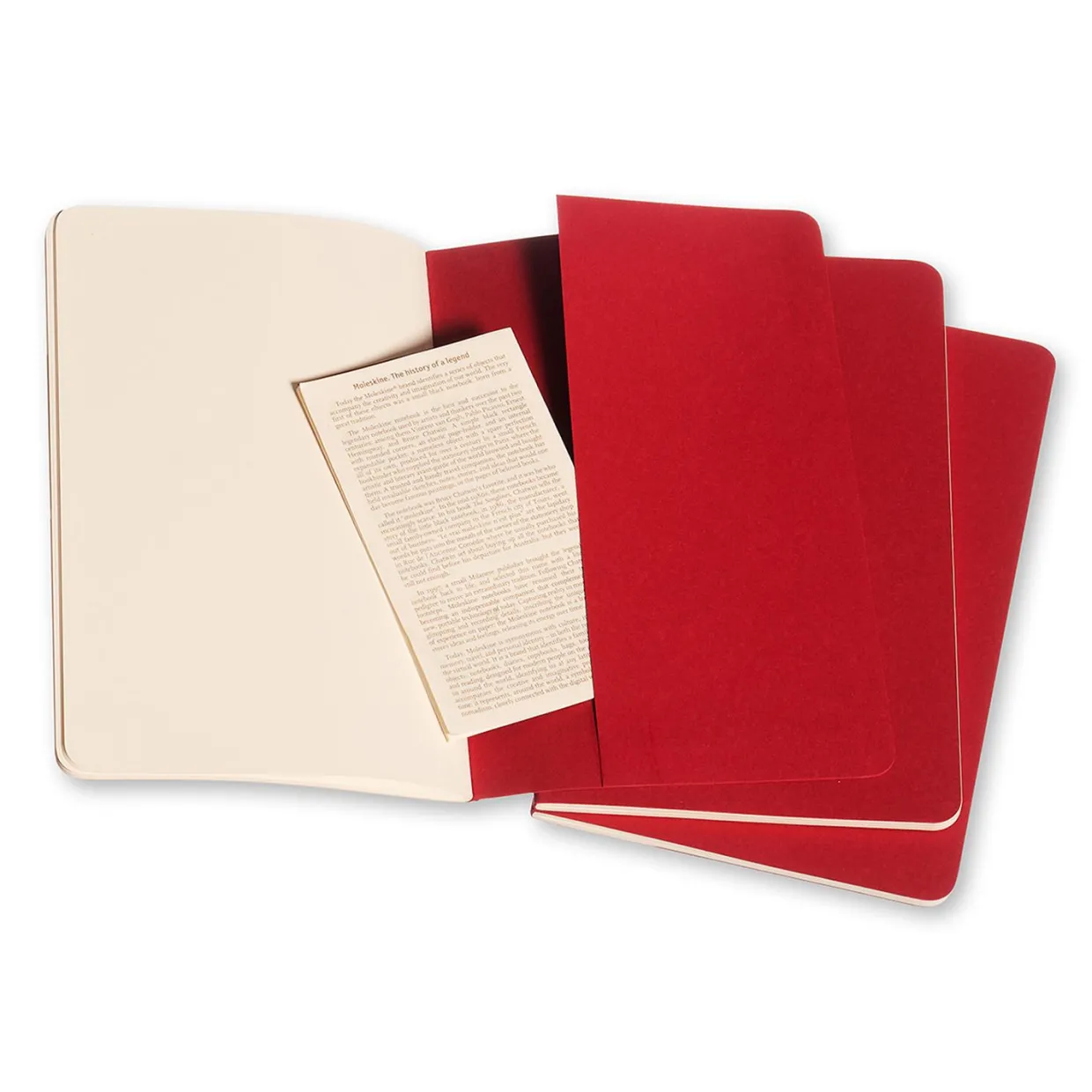 Cahier Large Notebook Set