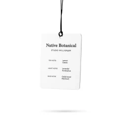 Card Air Freshener
