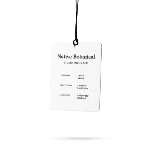 Card Air Freshener