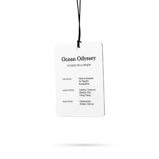 Card Air Freshener