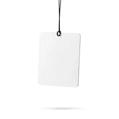 Card Air Freshener