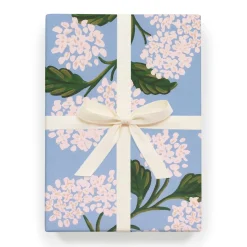 Hydrangea
