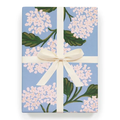 Hydrangea