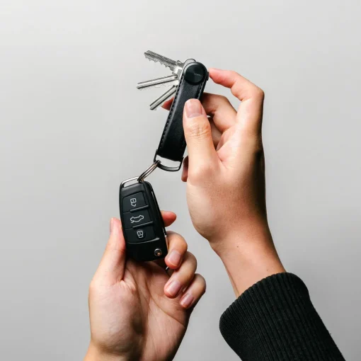 Key Organiser Pro