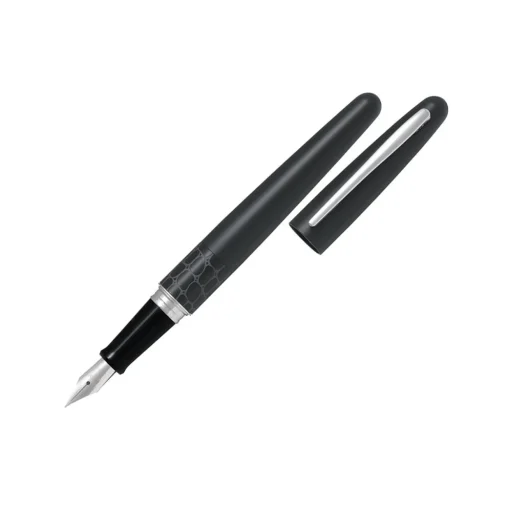 Metropolitan Fountain Pen