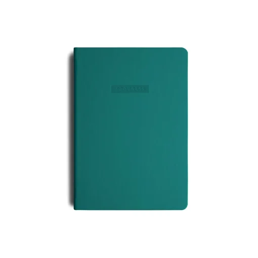 Progress Journal