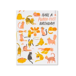 Purrfect Birthday Greeting Card