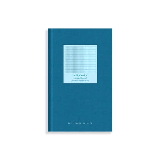 Self-Reflection Journal