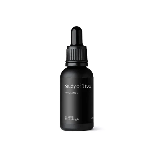 Study of Trees Scented Volcanic Rock Set