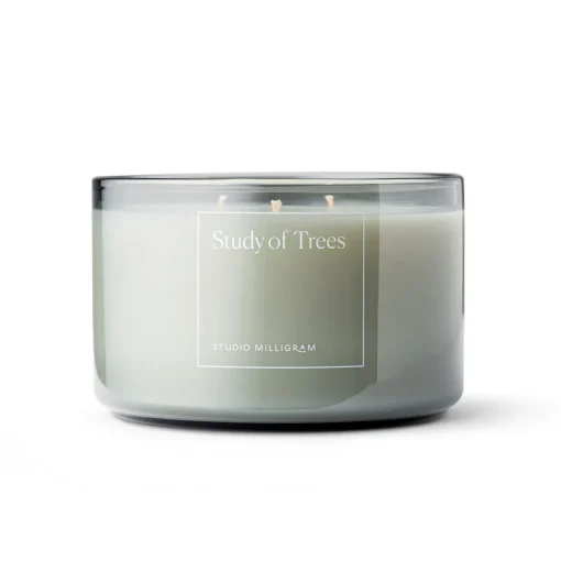 Study of Trees Three Wick Scented Candle 600g