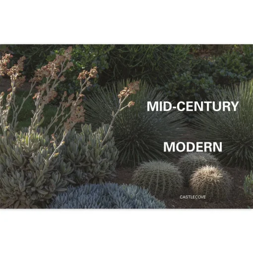 The City Gardener: Contemporary Urban Gardens