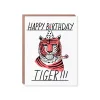 Tiger Side Eye